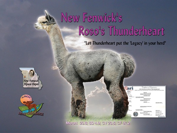 New Fenwick's Thunderheart Flyer/Ad