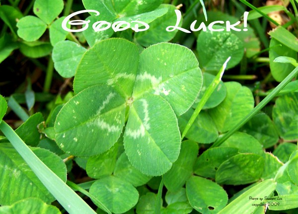 To my AW Friends