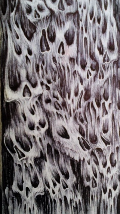 Skull cheese
