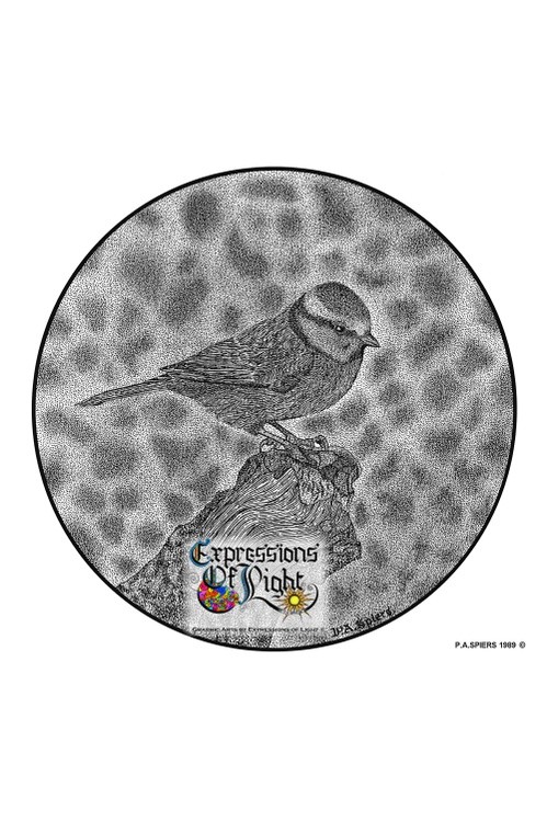 ExpoLight-Graphic-Arts-Bluetit-1989-0001 (Pen-&-Ink-Mono-SP)