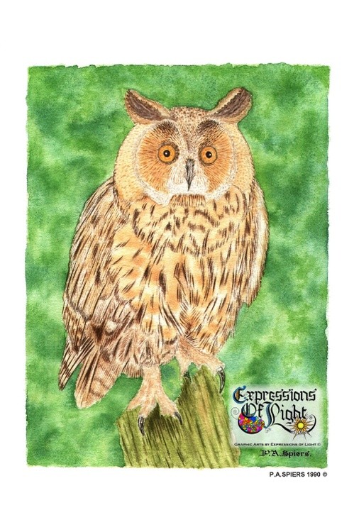 ExpoLight-Graphic-Arts-Owl-1990-0001 (Water-Coloured-SP)