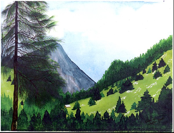 Heidi's Place