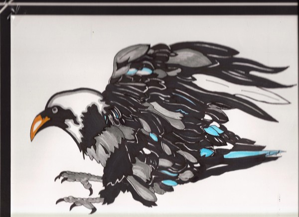 raven