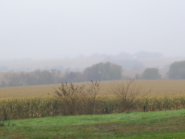 fall fields