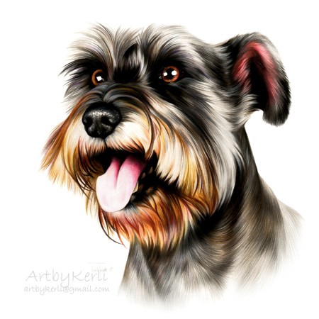 Bearded Buddy