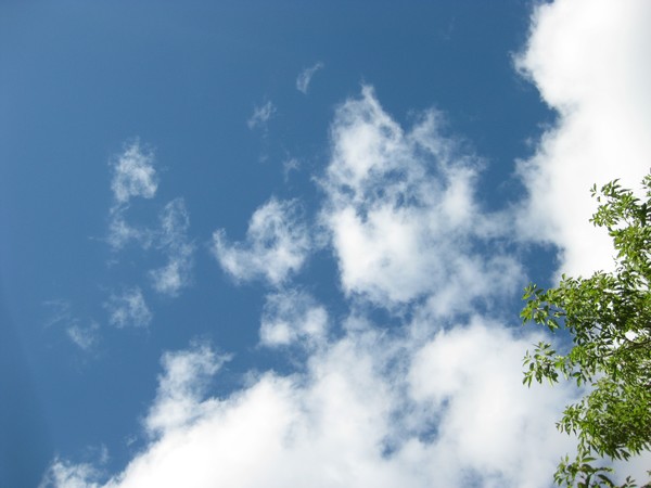 Looking Up