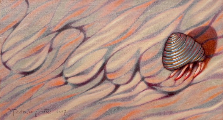 Hermit crab on his way home