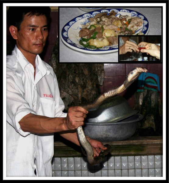 Cobra Dinner with Blood Shots