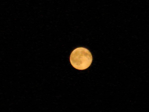 minnesota moon