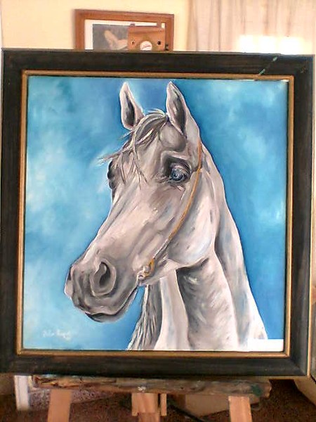 caballo 10