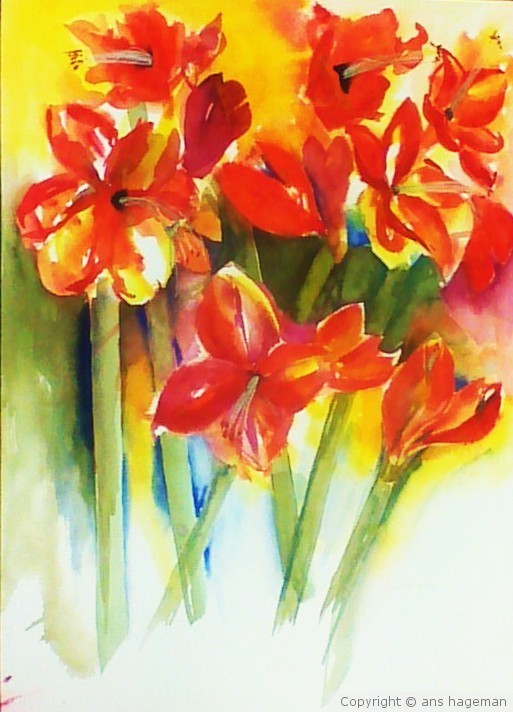 Amaryllis IV