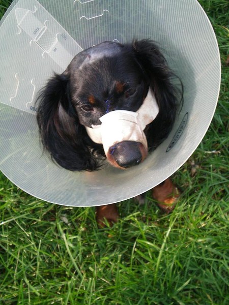 Recovering
