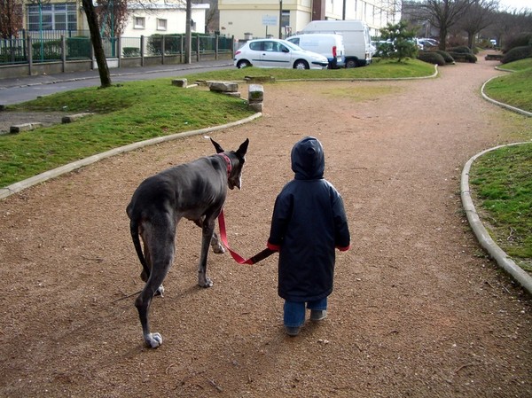 Bodyguard