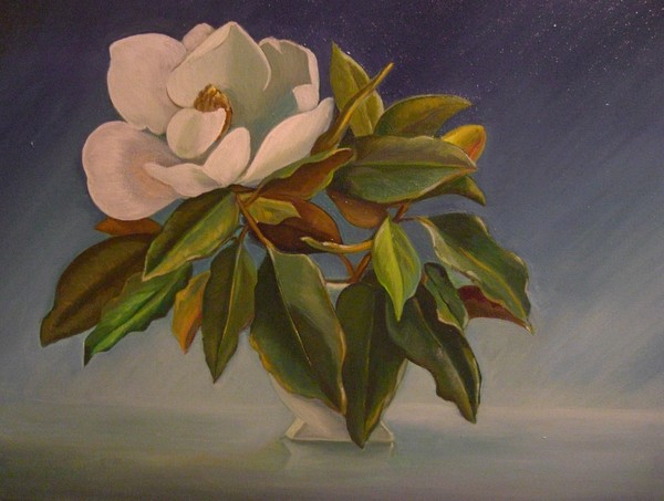 Magnolia