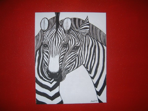 Two Zebras