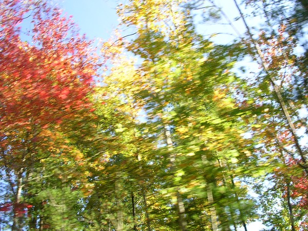 Fall Colors in the Smokies