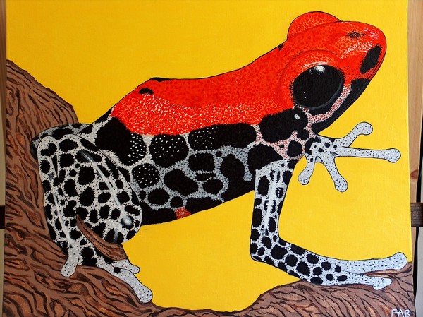 reticulated poison dart with yellow.