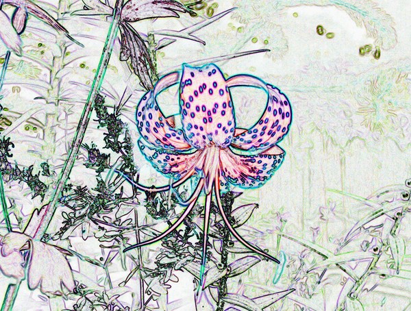 Essence of Nature 9