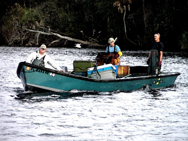 A Day on the Homosassa River