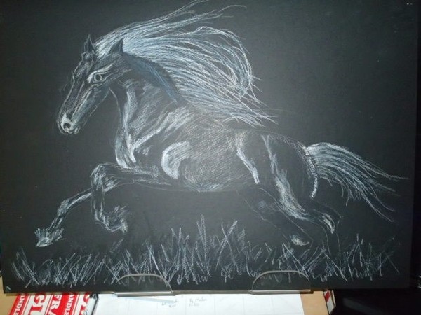 Stallion