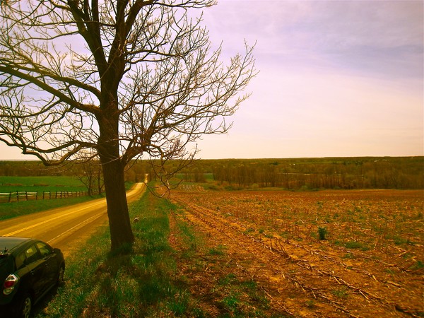 Rustic Outlook