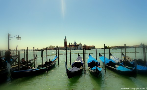 Venice Gondolas near St Marks Sq 2014