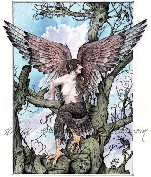 Ballpoint pen illustration - Harpy