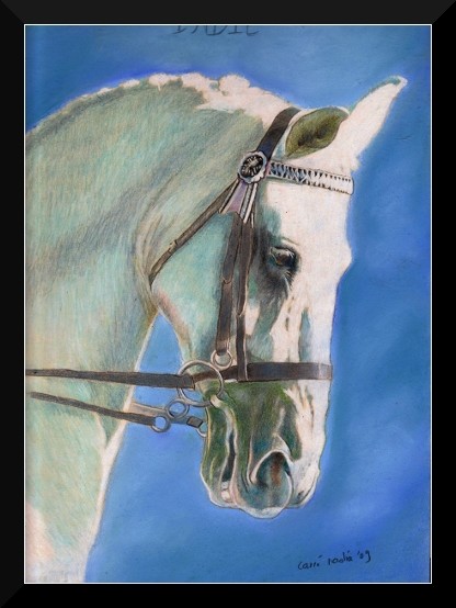white horse 