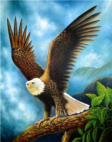 The eagle never lost so much time, as when he subm