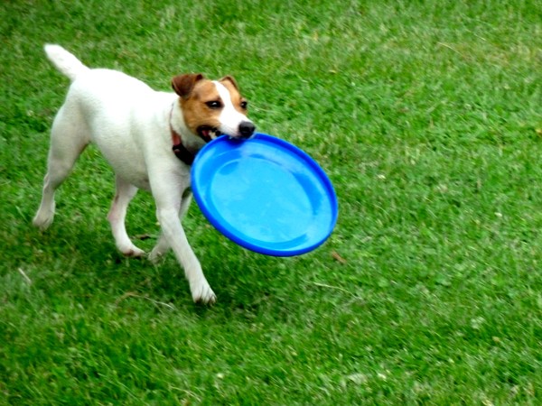 Caught It!