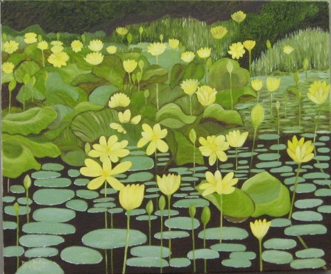 Field of Water Lilies