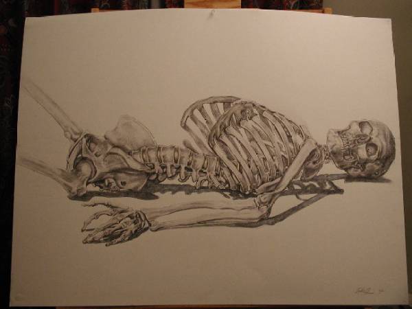 reclining figure, bones