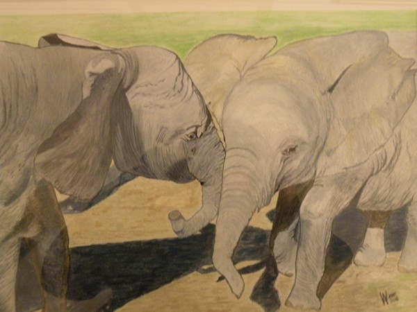 Playful Jumbos