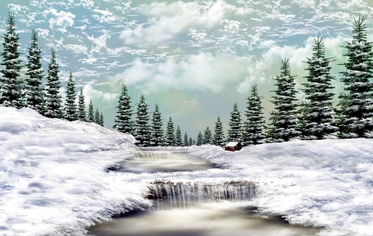 Winter Mint