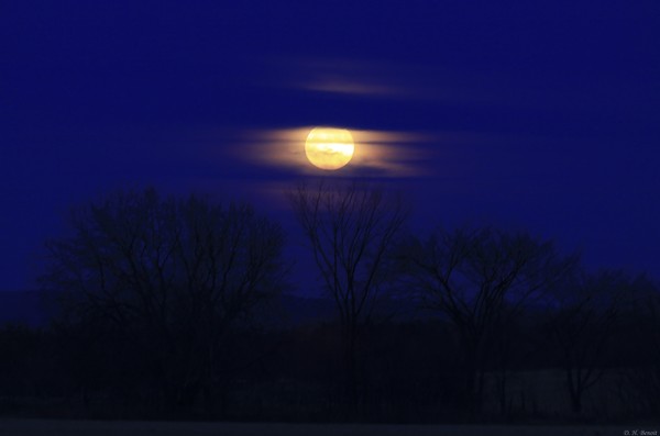 December Moon