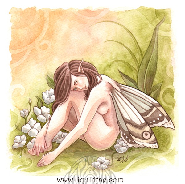 Quiet Moments