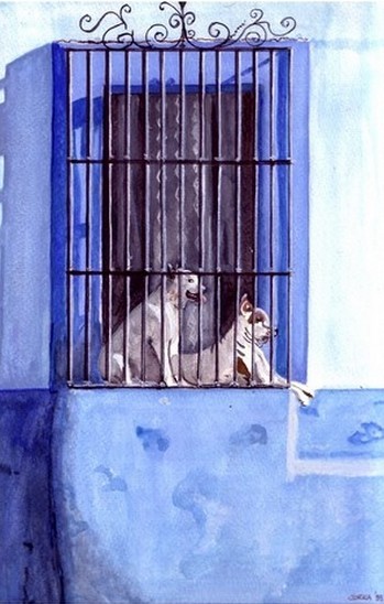 Siesta