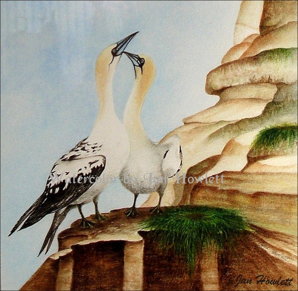 Commitment (cropped canvas)