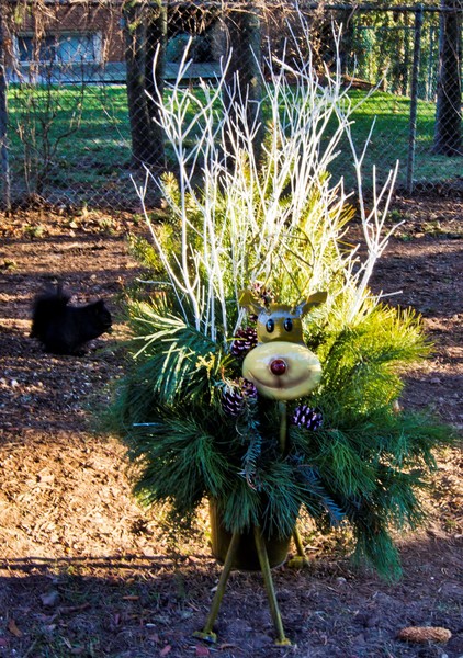 Rudolph and Friend