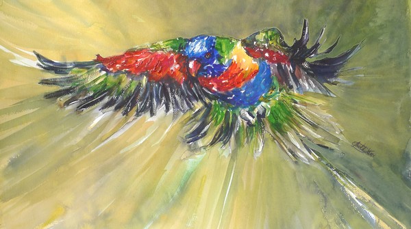 Rainbow flight