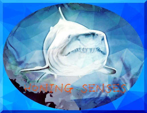 Honing Senses