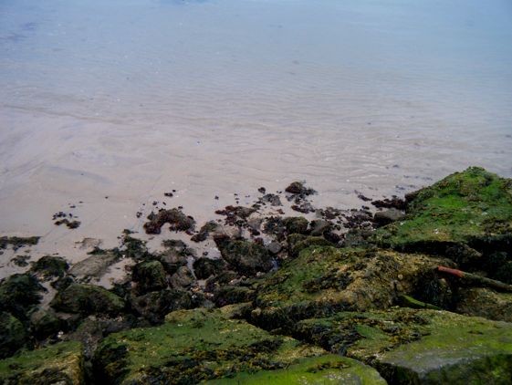Mossy Rocks