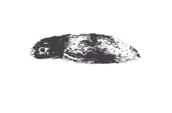 ink drawing 11