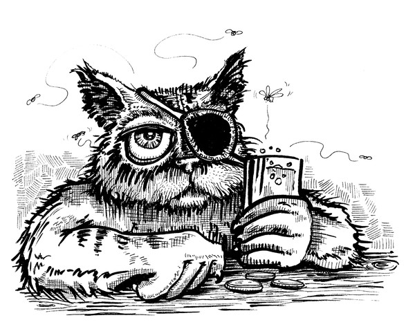 Drunken cat