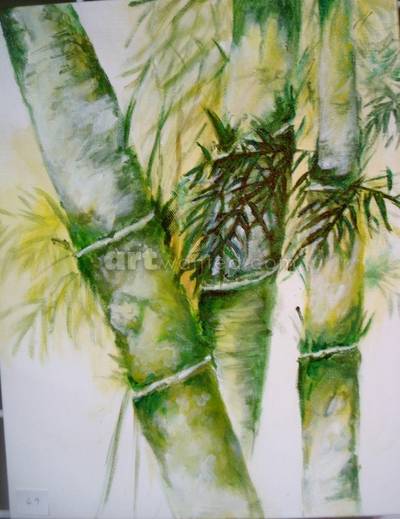 Bamboo