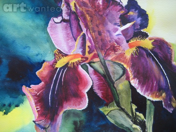 Purple Iris - Commissioned/SOLD