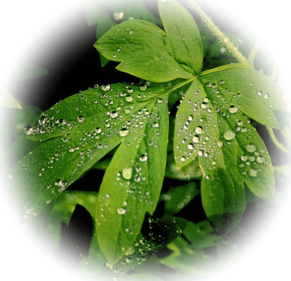 After the Rain