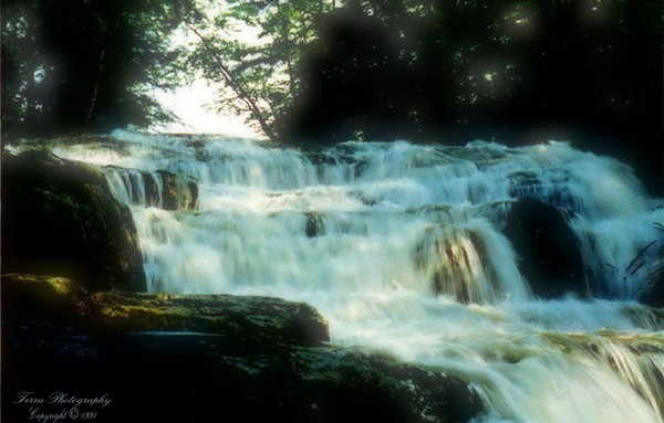 Secluded Waterfall 
