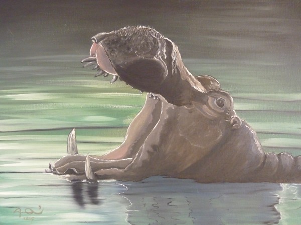 'Reflections'