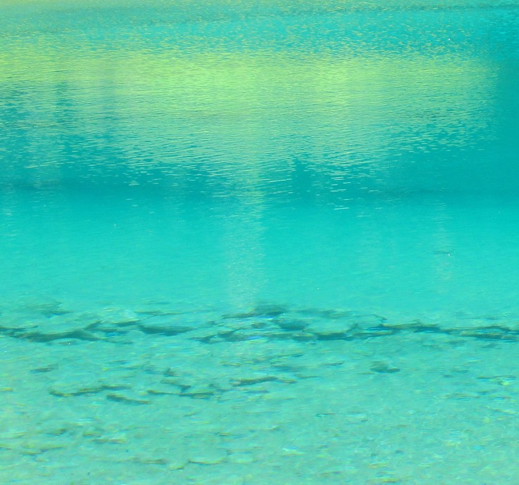 TRANSPARENCY